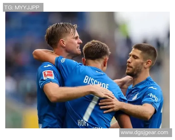 里昂与霍芬海姆伤停情况分析及对阵前瞻详解