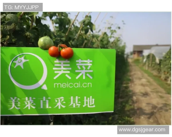 创新科技引领下的绿色食品革命：从种植到餐桌的可持续发展之路