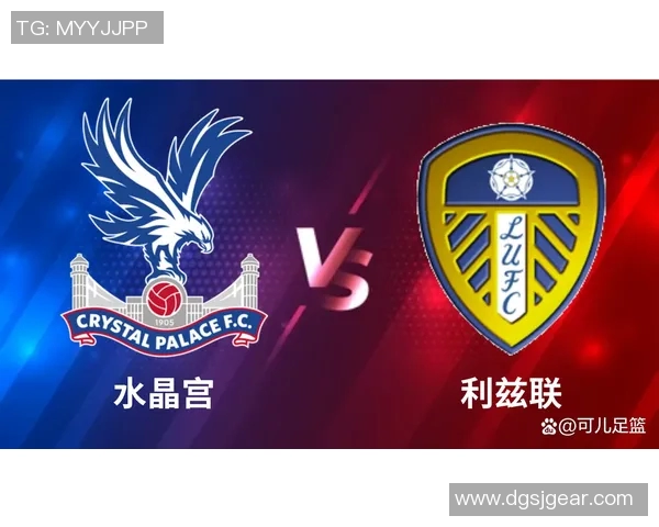 水晶宫与利兹联对决分析及比赛前瞻全面解读