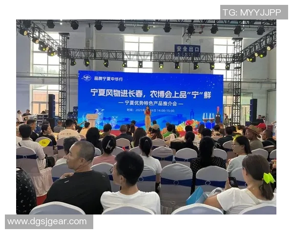 北京排球队实力分析与未来发展趋势的深度探讨