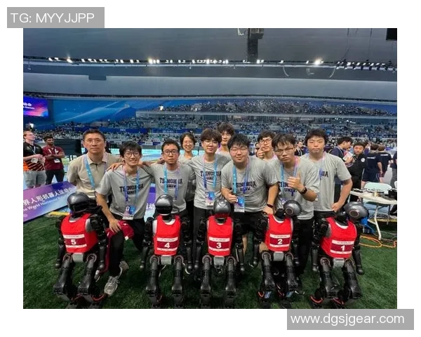 英雄联盟深度解析：揭秘FPX战队背后的比赛策略与经验分享