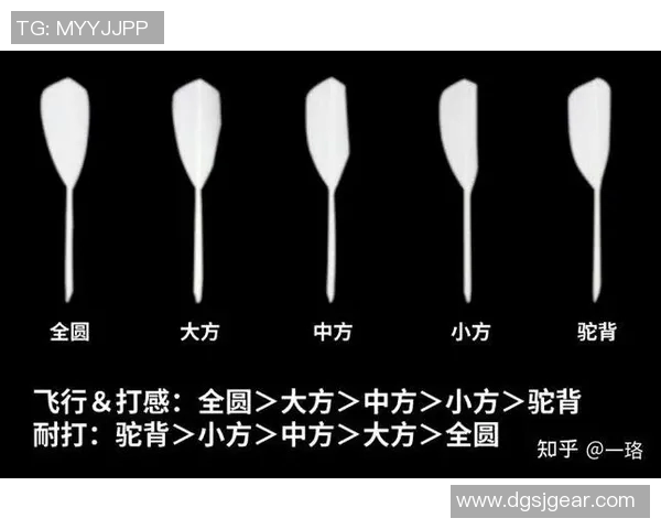 羽毛球新手必看:全面提升个人能力的入门技巧与训练方法指南 羽毛球新手必看:全面提升个人能力的入门技巧与训练方法指南