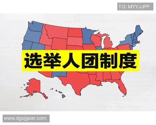 选举制度改革与民主发展路径探讨：从选民参与到选举透明度提升